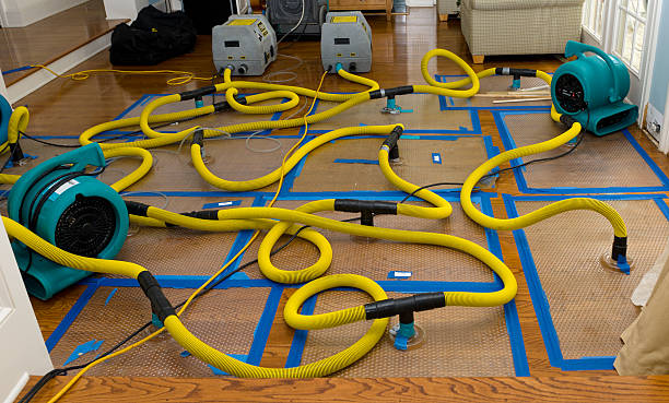 Professional Basement Flood Cleanup technician working in Wapato, WA